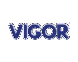 logo-vigor